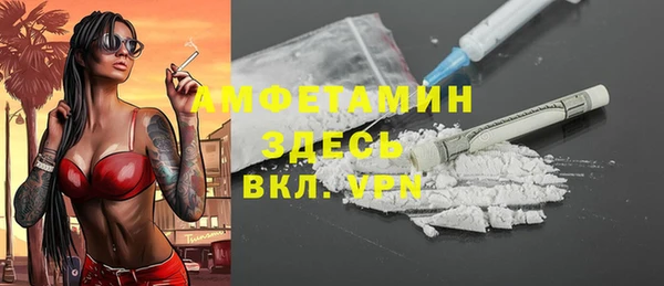 шишки Богородск
