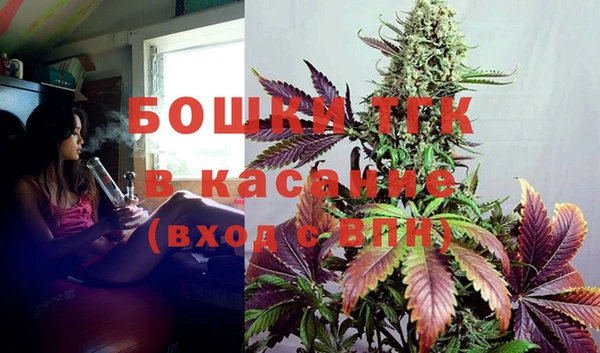 дживик Богородицк