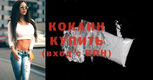 дживик Богородицк