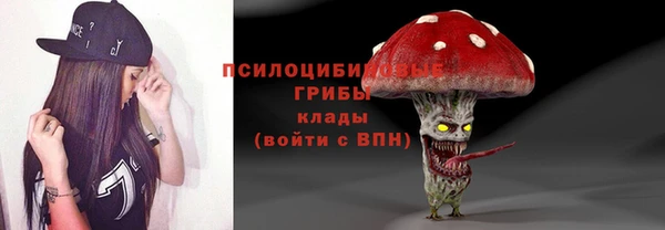 метадон Богданович