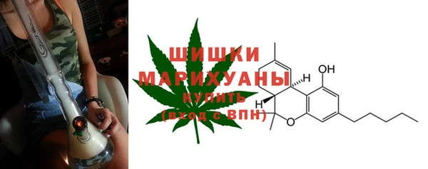 дживик Богородицк
