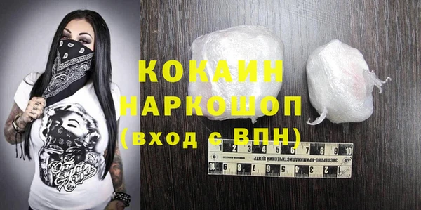 дживик Богородицк