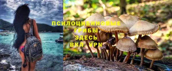 дживик Богородицк