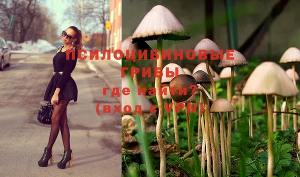 метадон Богданович