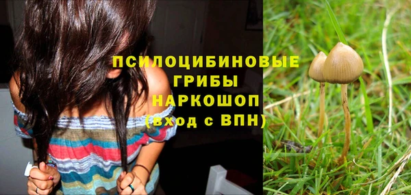 дживик Богородицк