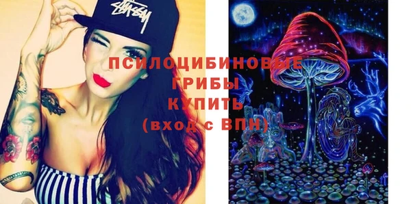 дживик Богородицк
