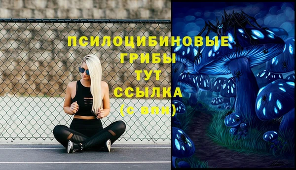 шишки Богородск