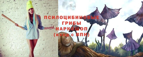 шишки Богородск