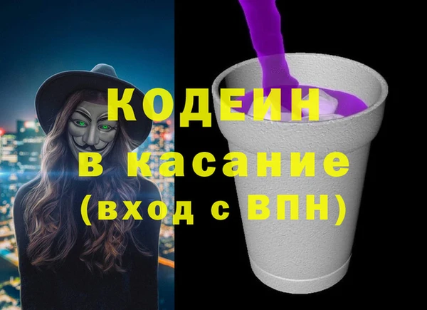 шишки Богородск