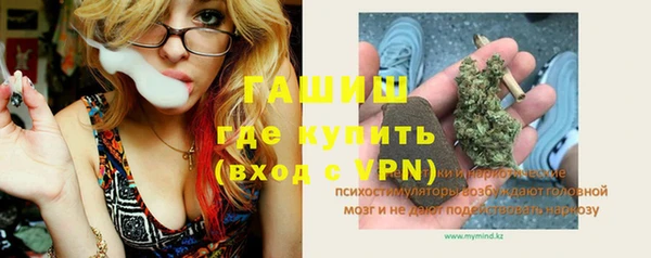 дживик Богородицк