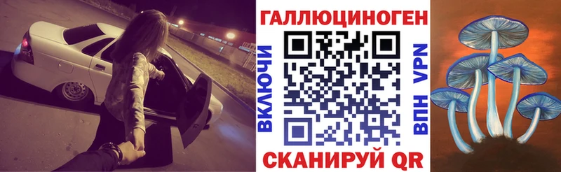 наркошоп  Нарьян-Мар  hydra   Галлюциногенные грибы Psilocybine cubensis 